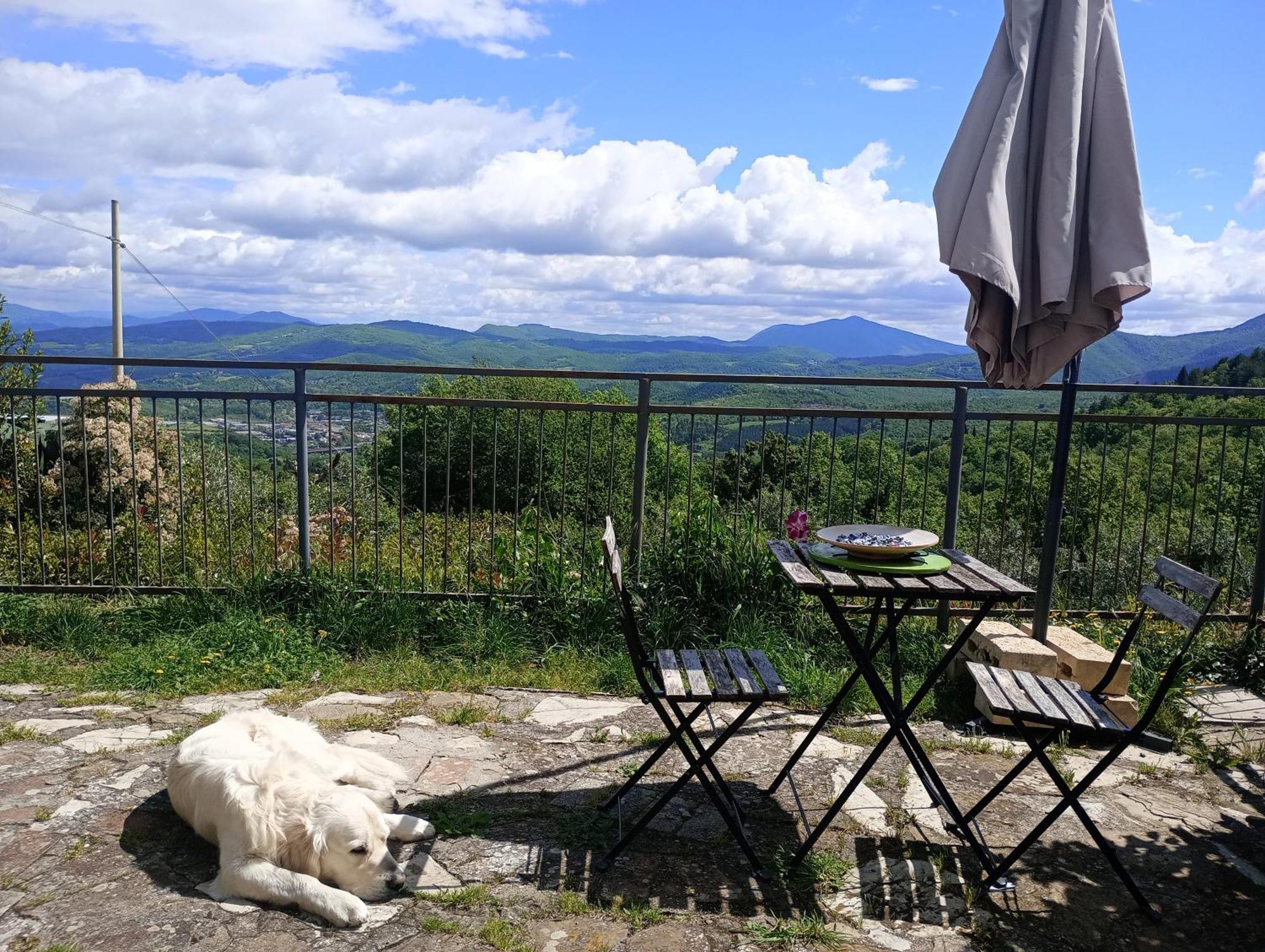 Il Podere Di Massi Barberino di Mugello Eksteriør billede