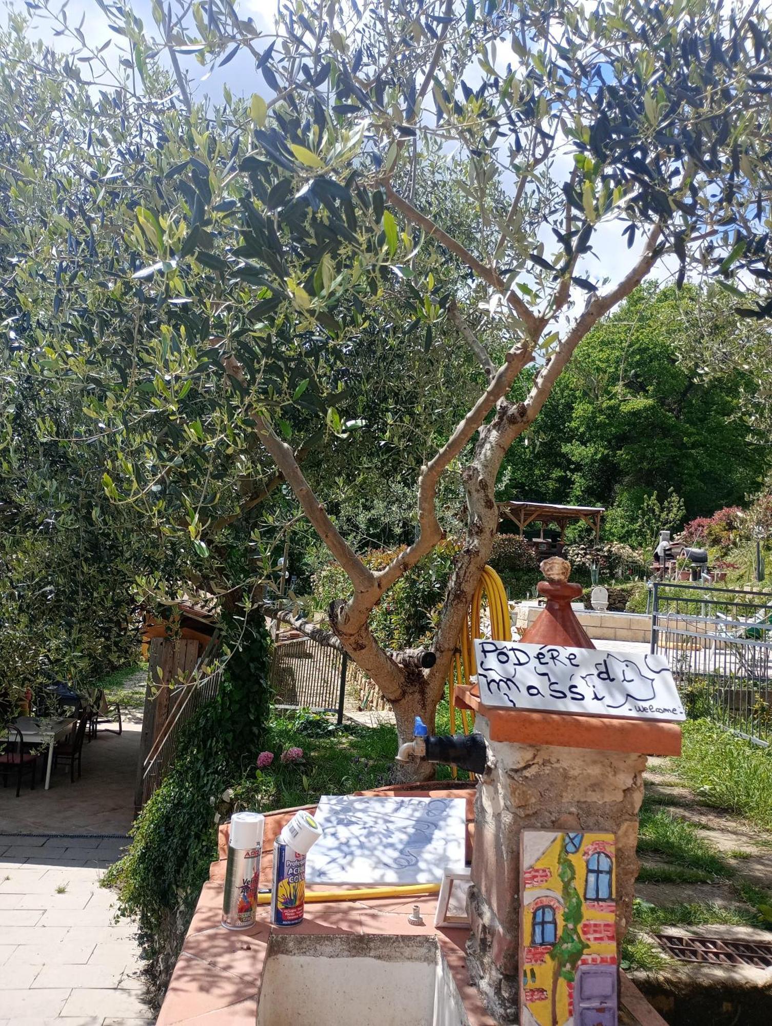 Il Podere Di Massi Barberino di Mugello Eksteriør billede
