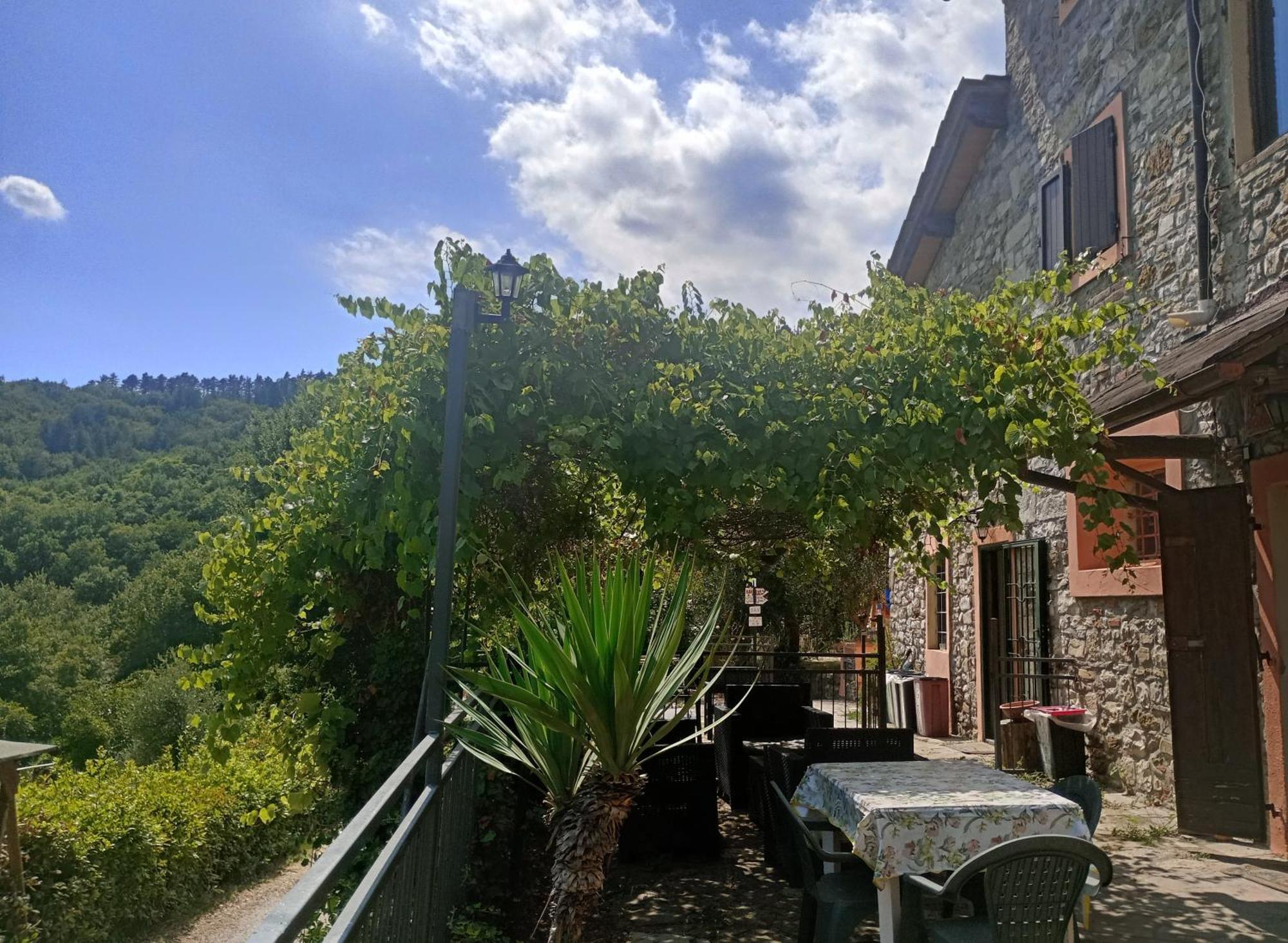 Il Podere Di Massi Barberino di Mugello Eksteriør billede